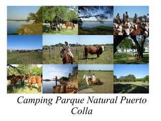 Camping Parque Natural Puerto Colla 
