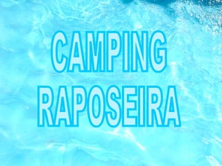 CAMPING RAPOSEIRA 