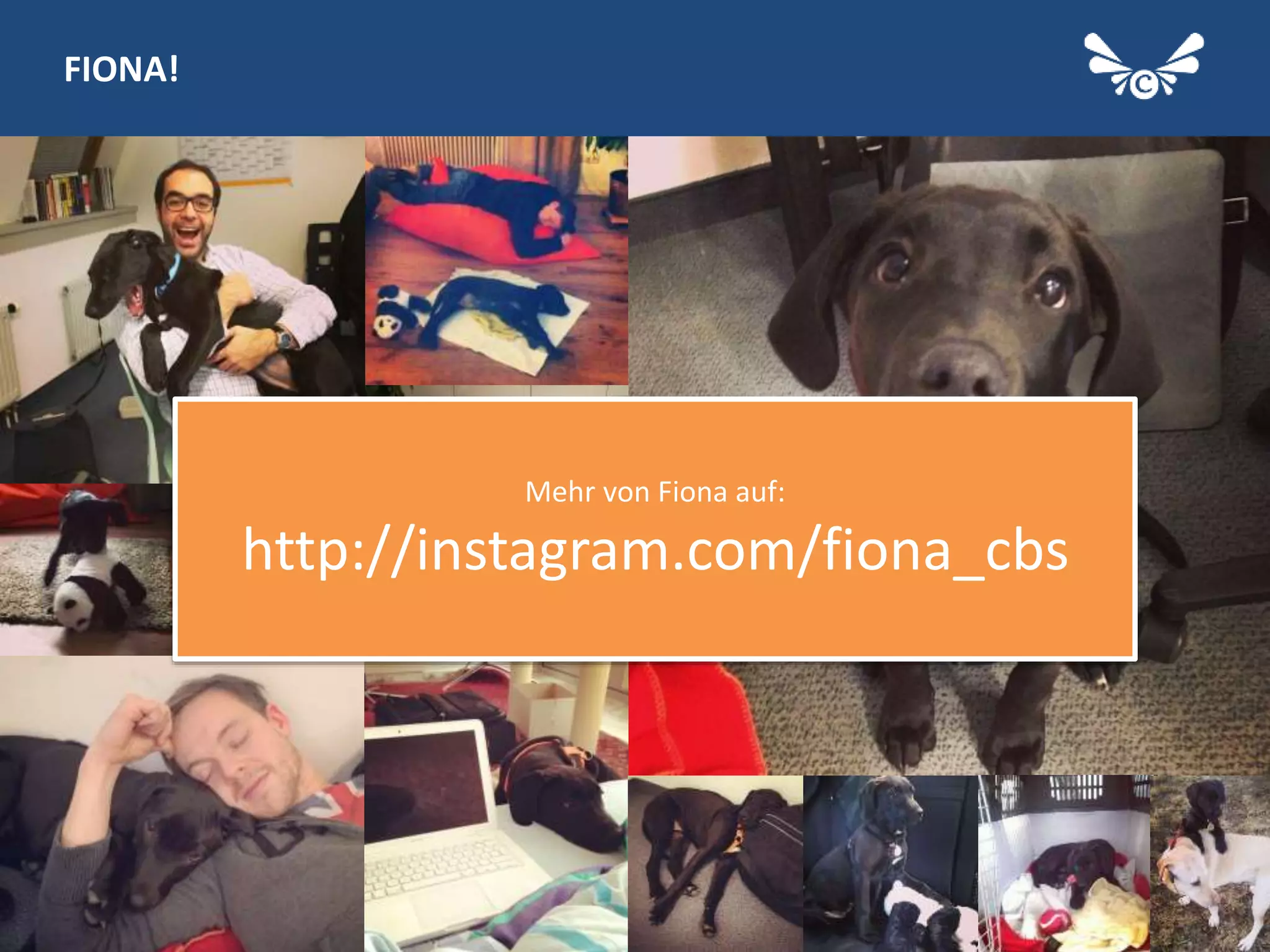 3
FIONA!
Mehr von Fiona auf:
http://instagram.com/fiona_cbs
 