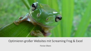 Florian Elbers
Optimieren großer Websites mit Screaming Frog & Excel
 