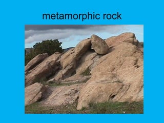 metamorphic rock
 