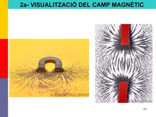 11
2a- VISUALITZACIÓ DEL CAMP MAGNÈTIC
 
