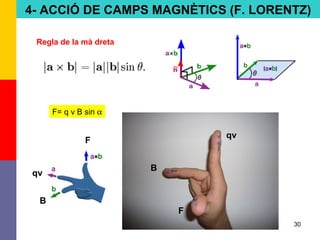 30
F= q v B sin α
qv
F
B
4- ACCIÓ DE CAMPS MAGNÈTICS (F. LORENTZ)
qv
F
B
Regla de la mà dreta
 
