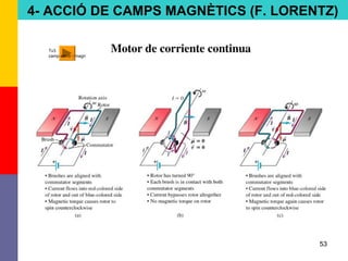 53
4- ACCIÓ DE CAMPS MAGNÈTICS (F. LORENTZ)
Tv3
camp electr i magn
 