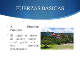 FUERZAS BÁSICAS
 A. Dirección
Principal:
 El sujeto u objeto
de nuestro campo
visual puede tener
una dirección
predominante.
 