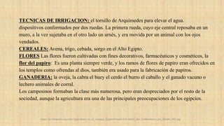 TECNICAS DE IRRIGACION: el tornillo de Arquímedes para elevar el agua.
dispositivos conformados por dos ruedas. La primera rueda, cuyo eje central reposaba en un
muro, a la vez sujetaba en el otro lado un arnés, y era movida por un animal con los ojos
vendados.
CEREALES: Avena, trigo, cebada, sorgo en el Alto Egipto.
FLORES Las flores fueron cultivadas con fines decorativos, farmacéuticos y cosméticos, la
flor del papiro: Es una planta siempre verde, y los ramos de flores de papiro eran ofrecidos en
los templos como ofrendas al dios, también era usado para la fabricación de papiros.
GANADERIA: la oveja, la cabra el buey el cerdo el burro el caballo y el ganado vacuno o
lechero animales de corral.
Los campesinos formaban la clase más numerosa, pero eran despreciados por el resto de la
sociedad, aunque la agricultura era una de las principales preocupaciones de los egipcios.
https://es.wikipedia.org/wiki/Agricultura_en_el_Antiguo_Egipto#/media/File:Maler_der_Grabkammer_des_Menna_001.jpg
 