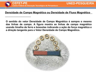 Densidade de Campo Magnético ou Densidade de Fluxo Magnético  O sentido do vetor Densidade de Campo Magnético é sempre o mesmo das linhas de campo. A figura mostra as linhas de campo magnético usando limalha de ferro e bússolas indicando a ação da força magnética e a direção tangente para o Vetor Densidade de Campo Magnético. 