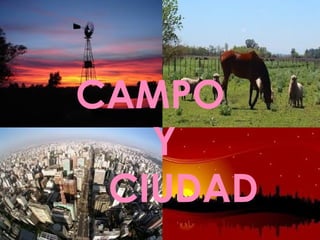 CAMPO
Y
CIUDAD
 