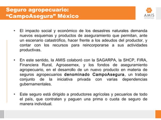 Seguro agropecuario:
“CampoAsegura” México

  •   El impacto social y económico de los desastres naturales demanda
      nuevos esquemas y productos de aseguramiento que permitan, ante
      un escenario catastrófico, hacer frente a los adeudos del productor, y
      contar con los recursos para reincorporarse a sus actividades
      productivas.

  •   En este sentido, la AMIS colaboró con la SAGARPA, la SHCP, FIRA,
      Financiera Rural, Agroasemex, y los fondos de aseguramiento
      agropecuario, en el desarrollo de un nuevo producto en materia de
      seguros agropecuarios denominado CampoAsegura , un trabajo
      conjunto de la iniciativa privada con varias dependencias
      gubernamentales.

  •   Este seguro está dirigido a productores agrícolas y pecuarios de todo
      el país, que contraten y paguen una prima o cuota de seguro de
      manera individual.
 