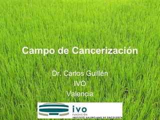 Campo de Cancerización

     Dr. Carlos Guillén
            IVO
          Valencia
 