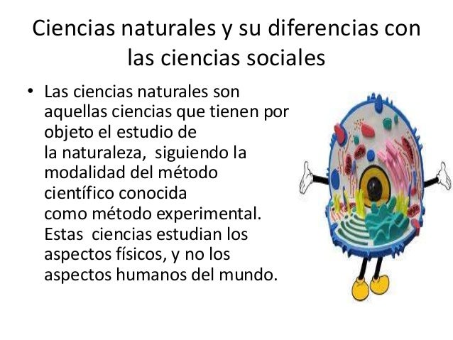 campo de preocupación de las ciencias