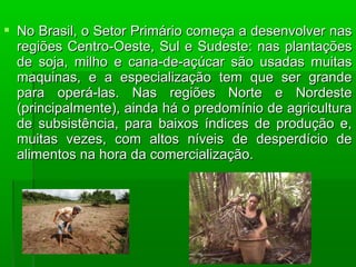  No Brasil, o Setor Primário começa a desenvolver nas
  regiões Centro-Oeste, Sul e Sudeste: nas plantações
  de soja, milho e cana-de-açúcar são usadas muitas
  maquinas, e a especialização tem que ser grande
  para operá-las. Nas regiões Norte e Nordeste
  (principalmente), ainda há o predomínio de agricultura
  de subsistência, para baixos índices de produção e,
  muitas vezes, com altos níveis de desperdício de
  alimentos na hora da comercialização.
 