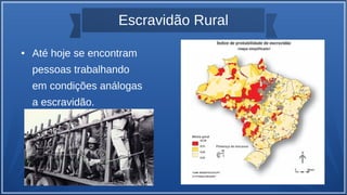 Escravidão Rural
● Até hoje se encontram
pessoas trabalhando
em condições análogas
a escravidão.
 