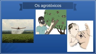 Os agrotóxicos
 