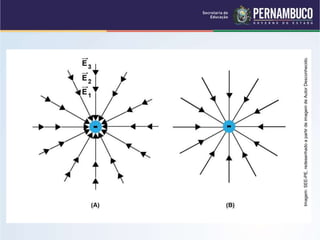 Imagem:SEE-PE,redesenhadoapartirdeimagemdeAutorDesconhecido.
 