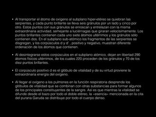 • Al transportar el átomo de oxígeno al subplano hiper-etéreo se quiebran las
serpientes, y cada punto brillante se lleva seis gránulos por un lado y cinco por
otro. Estos puntos con sus gránulos se enroscan y entrelazan con la misma
extraordinaria actividad, semejante a luciérnagas que giraran velocísimamente. Los
puntos brillantes contienen cada uno siete átomos ultérrimos y los gránulos sólo
contienen dos. En el subplano sub-atómico los fragmentos de las serpientes se
disgregan, y los corpúsculos d y d' , positivo y negativo, muestran diferente
ordenación de los átomos que contienen.
• Al desintegrarse estos corpúsculos en el subplano atómico, dejan en libertad 290
átomos físicos ultérrimos, de los cuales 220 proceden de los gránulos y 70 de los
diez puntos brillantes.
• El corpúsculo positivo d es el glóbulo de vitalidad y de su virtud proviene la
extraordinaria energía del oxígeno.
• Al llegar el oxígeno a los pulmones en la función respiratoria desprende los
glóbulos de vitalidad que se combinan con otras substancias para formar algunos
de los principales constituyentes de la sangre. Así es que mientras la vitalidad se
difunde desde el bazo por todo el doble etéreo, la «esencia» mencionada en la cita
del purana Garuda se distribuye por todo el cuerpo denso.
 