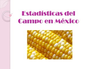 Estadísticas del
Campo en México
 