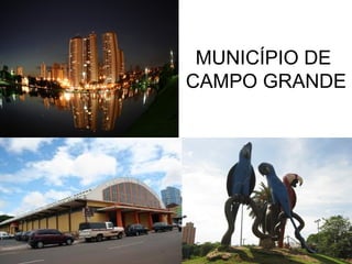 MUNICÍPIO DE
CAMPO GRANDE

 