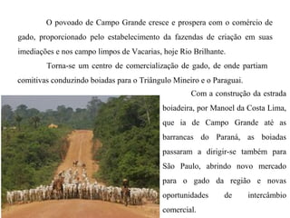 O povoado de Campo Grande cresce e prospera com o comércio de
gado, proporcionado pelo estabelecimento da fazendas de criação em suas
imediações e nos campo limpos de Vacarias, hoje Rio Brilhante.
Torna-se um centro de comercialização de gado, de onde partiam
comitivas conduzindo boiadas para o Triângulo Mineiro e o Paraguai.
Com a construção da estrada
boiadeira, por Manoel da Costa Lima,
que ia de Campo Grande até as
barrancas do Paraná, as boiadas
passaram a dirigir-se também para
São Paulo, abrindo novo mercado
para o gado da região e novas
oportunidades
comercial.

de

intercâmbio

 