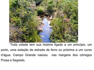 Toda cidade tem sua história ligada a um princípio, um
porto, uma estação de estrada de ferro ou próxima a um curso
d’água. Campo Grande nasceu
Prosa e Segredo.

nas margens dos córregos

 