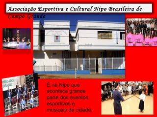 É na Nipo que acontece grande parte dos eventos esportivos e musicais da cidade. Associação Esportiva e Cultural Nipo Brasileira de Campo Grande 