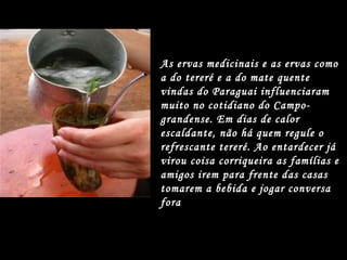As ervas medicinais e as ervas como a do tereré e a do mate quente vindas do Paraguai influenciaram muito no cotidiano do Campo-grandense. Em dias de calor escaldante, não há quem regule o refrescante tereré. Ao entardecer já virou coisa corriqueira as famílias e amigos irem para frente das casas tomarem a bebida e jogar conversa fora  