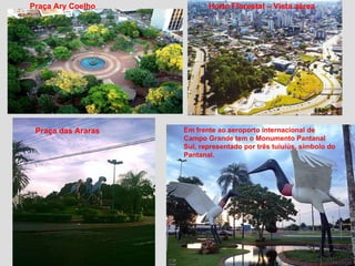 Praça Ary Coelho   Horto Florestal – Vista aérea Praça das Araras   Em frente ao aeroporto internacional de Campo Grande tem o Monumento Pantanal Sul, representado por três tuiuiús, símbolo do Pantanal.  