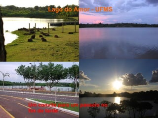 Lago do Amor - UFMS Um convite para um passeio no fim de tarde 