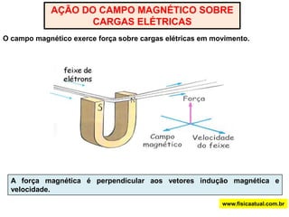 www.fisicaatual.com.brO campo magnético terrestre pode ser devido ao núcleo de ferro da Terra. A configuração do campo magnético da Terra é parecida com a de um gigantesco ímã em forma de barra localizado próximo ao centro da Terra. 