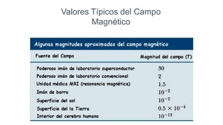 Valores Típicos del Campo
Magnético
 