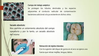 Secado absoluto:
Nos permite un aislamiento absoluto del campo
operatorio y por lo tanto, un secado absoluto
del mismo
Campo de trabajo aséptico:
Se protegen los túbulos dentinales y los espacios
adyacentes al conducto radicular de contaminación
bacteriana adicional a la ya existente en dichos sitios.
Retracción de tejidos blandos:
Con la sujeción del dique de goma en el arco se ejerce una
fuerza que retrae mejillas, lengua, labios.
 