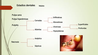 Estadios dentales Maísto
Pulpa sana
Pulpa hiperémicas
Pulpitis
Cerradas
Abiertas
Infiltrativas
Abscedosas
Ulcerosas
Hiperplásicas
Superficiales
Profundas
Necrosis
Aséptica
Sépticas
 