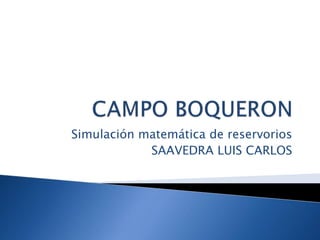 Simulación matemática de reservorios
SAAVEDRA LUIS CARLOS
 