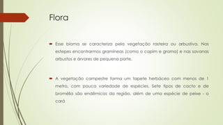 Flora
 Esse bioma se caracteriza pela vegetação rasteira ou arbustiva. Nas
estepes encontrarmos gramíneas (como o capim e grama) e nas savanas
arbustos e árvores de pequeno porte.
 A vegetação campestre forma um tapete herbáceo com menos de 1
metro, com pouca variedade de espécies. Sete tipos de cacto e de
bromélia são endêmicos da região, além de uma espécie de peixe - o
cará
 