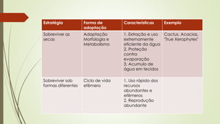 Estratégia Forma de
adaptação
Características Exemplo
Sobreviver as
secas
Adaptação
Morfologia e
Metabolismo
1. Extração e uso
extremamente
eficiente da água
2. Proteção
contra
evaporação
3. Acumulo de
água em tecidos
Cactus, Acacias,
"True Xerophytes"
Sobreviver sob
formas diferentes
Ciclo de vida
efêmero
1. Uso rápido dos
recursos
abundantes e
efêmeros
2. Reprodução
abundante
 