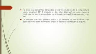  No caso das serpentes, obrigadas a ficar no chão, onde a temperatura
pode alcançar 80° C durante o dia, elas desenvolvem uma maneira
particular de mover-se no chão, minimizando a superfície de contato com
ele.
 Os animais que não podem evitar o sol durante o dia adotam uma
posição ótima para minimizar o impacto dos raios solares (ex: o esquilo).
 