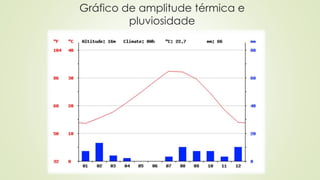 Gráfico de amplitude térmica e
pluviosidade
 