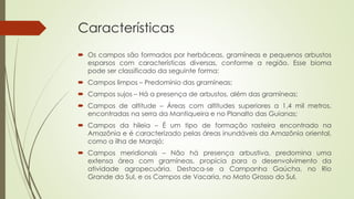 Características
 Os campos são formados por herbáceas, gramíneas e pequenos arbustos
esparsos com características diversas, conforme a região. Esse bioma
pode ser classificado da seguinte forma:
 Campos limpos – Predomínio das gramíneas;
 Campos sujos – Há a presença de arbustos, além das gramíneas;
 Campos de altitude – Áreas com altitudes superiores a 1,4 mil metros,
encontradas na serra da Mantiqueira e no Planalto das Guianas;
 Campos da hileia – É um tipo de formação rasteira encontrado na
Amazônia e é caracterizado pelas áreas inundáveis da Amazônia oriental,
como a ilha de Marajó;
 Campos meridionais – Não há presença arbustiva, predomina uma
extensa área com gramíneas, propícia para o desenvolvimento da
atividade agropecuária. Destaca-se a Campanha Gaúcha, no Rio
Grande do Sul, e os Campos de Vacaria, no Mato Grosso do Sul.
 