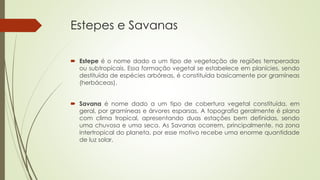 Estepes e Savanas
 Estepe é o nome dado a um tipo de vegetação de regiões temperadas
ou subtropicais. Essa formação vegetal se estabelece em planícies, sendo
destituída de espécies arbóreas, é constituída basicamente por gramíneas
(herbáceas).
 Savana é nome dado a um tipo de cobertura vegetal constituída, em
geral, por gramíneas e árvores esparsas. A topografia geralmente é plana
com clima tropical, apresentando duas estações bem definidas, sendo
uma chuvosa e uma seca. As Savanas ocorrem, principalmente, na zona
intertropical do planeta, por esse motivo recebe uma enorme quantidade
de luz solar.
 