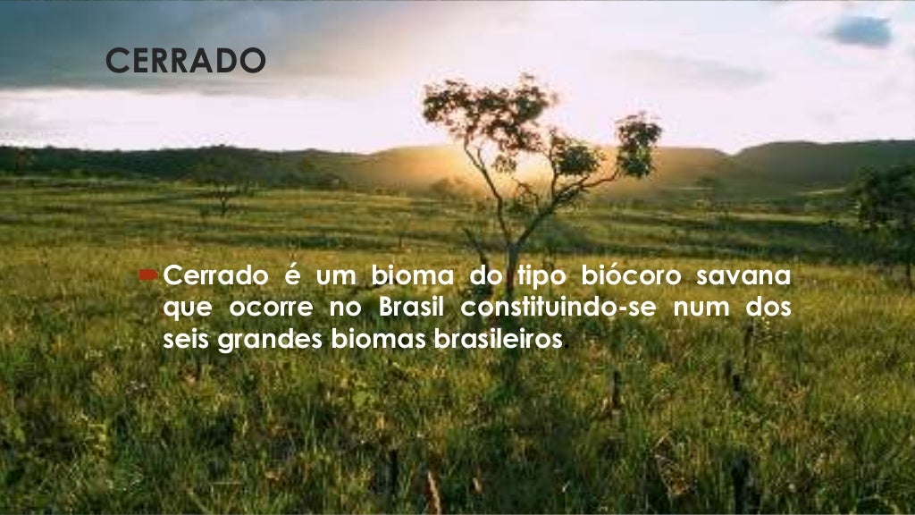 Biomas CAMPOS, CERRADOS e DESERTOS. E + Estepes e Savanas.