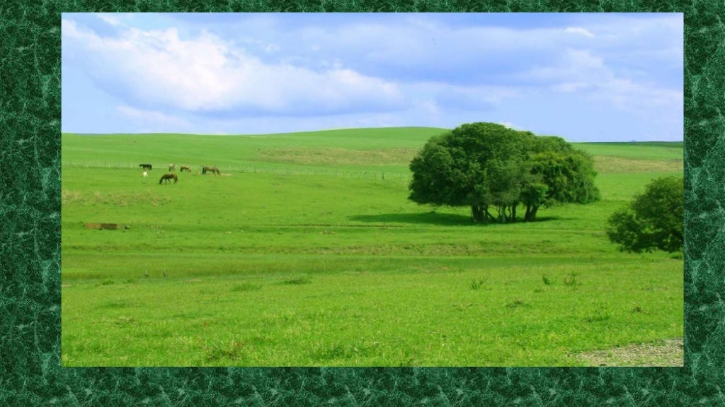 Biomas CAMPOS, CERRADOS e DESERTOS. E + Estepes e Savanas.