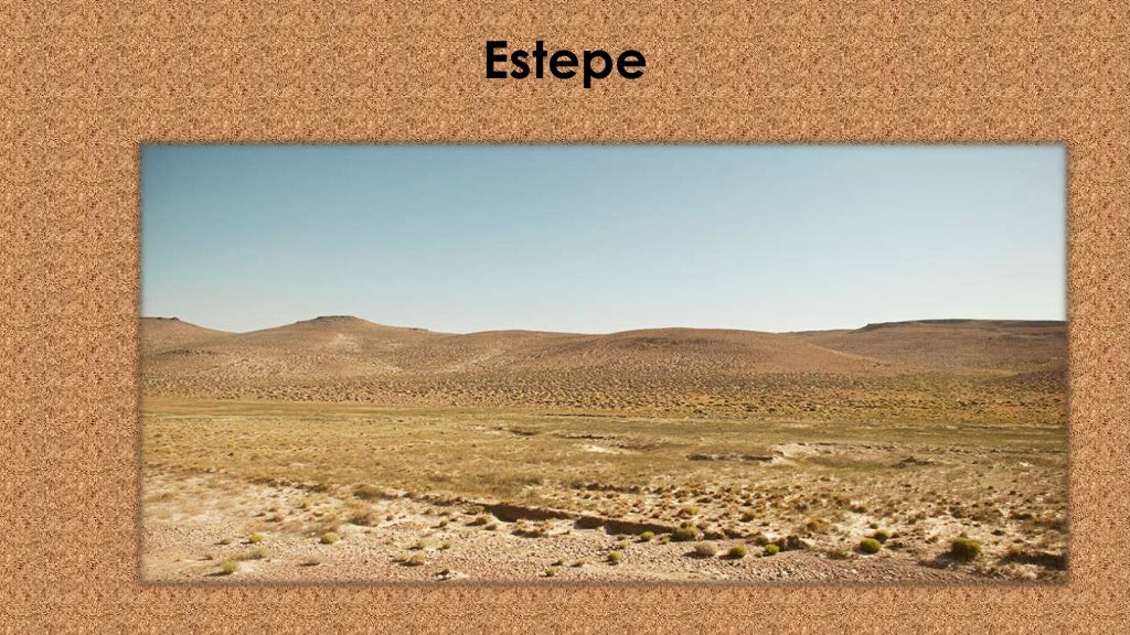 Biomas CAMPOS, CERRADOS e DESERTOS. E + Estepes e Savanas.