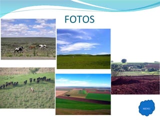 FOTOS MENU 