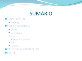 SUMÁRIO LOCALIZAÇÃO No mapa CARACTERÍSTICAS Clima Vegetação Fauna Fotos dos animais Solo Relevo PRINCIPAIS PROBLEMAS FOTOS 
