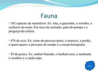 Fauna MENU 102 espécies de mamíferos. Ex: tatu, o guaxinim, o zorrilho, o cachorro-do-mato. Em risco de extinção: gato-do-pampa e a preguiça-de-coleira. 476 de aves. Ex: cisne-de-pescoço-preto, o marreco, a perdiz, o quero-quero, o pica-pau do campo e a coruja-buraqueira. 50 de peixes. Ex: ambari-listrado, o lambari-azul, o tamboatá, o surubim e o cação-anjo.  