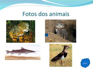 Fotos dos animais  MENU 