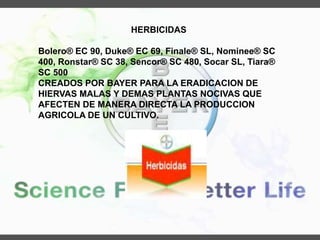 HERBICIDAS
Bolero® EC 90, Duke® EC 69, Finale® SL, Nominee® SC
400, Ronstar® SC 38, Sencor® SC 480, Socar SL, Tiara®
SC 500
CREADOS POR BAYER PARA LA ERADICACION DE
HIERVAS MALAS Y DEMAS PLANTAS NOCIVAS QUE
AFECTEN DE MANERA DIRECTA LA PRODUCCION
AGRICOLA DE UN CULTIVO.
 