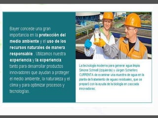 Bayer.diapositivas