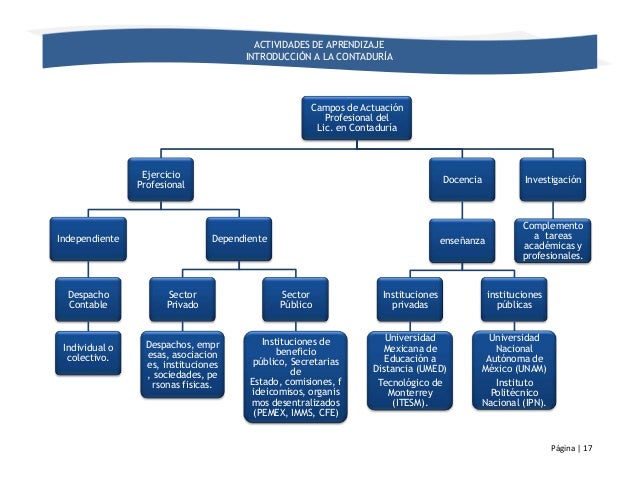Campos de actuacion profesional
