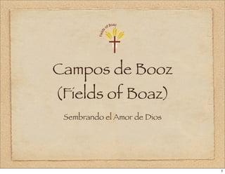 Campos de Booz
(Fields of Boaz)
 Sembrando el Amor de Dios




                             1
 